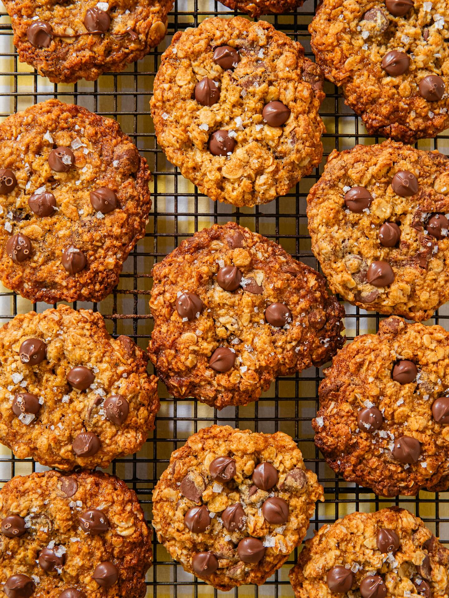 Chewy malt choc chip cookies